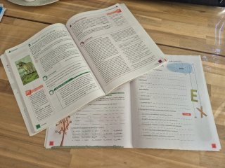 Lengua castellana y literatura 1o ESO