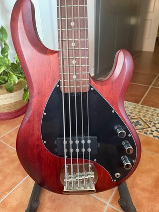 Bajo Eléctrico 5 Cuerdas Sterling by Music Man