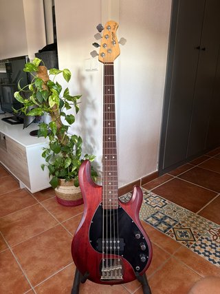 Bajo Eléctrico 5 Cuerdas Sterling by Music Man