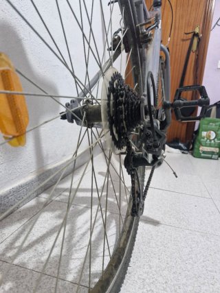 2 Bicicletas Riverside Talla M y S