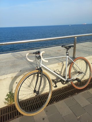 Bicicleta Fixie plateada