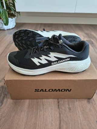 Zapatillas Trail Salomon Alphaglide 44 2/3