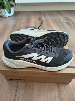 Zapatillas Trail Salomon Alphaglide 44 2/3