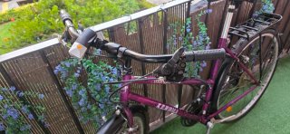 Bicicleta Triangle Kenhill Morada