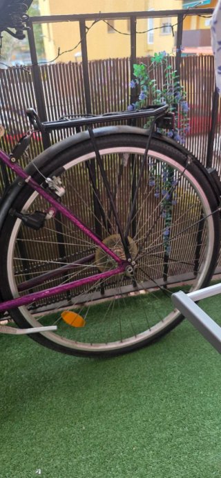 Bicicleta Triangle Kenhill Morada