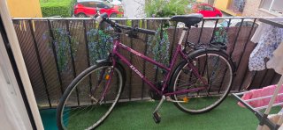 Bicicleta Triangle Kenhill Morada