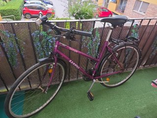 Bicicleta Triangle Kenhill Morada