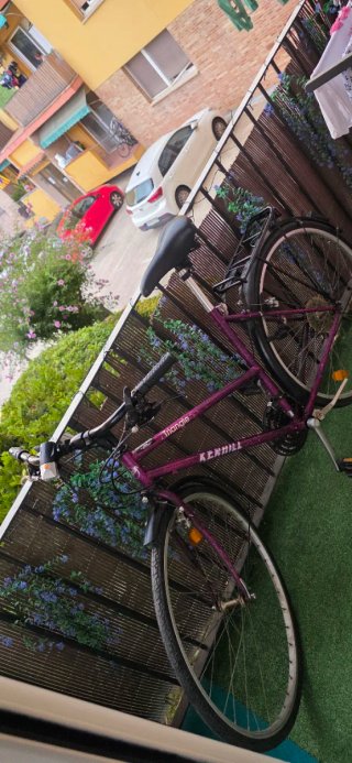 Bicicleta Triangle Kenhill Morada