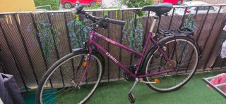 Bicicleta Triangle Kenhill Morada