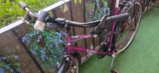 Bicicleta Triangle Kenhill Morada