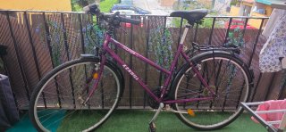 Bicicleta Triangle Kenhill Morada