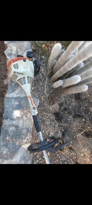 Desbrozadora Stihl FS 55