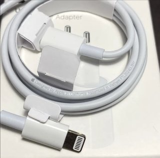 Kit Caricatore Apple USB-C 20W + Cavo Lightning 1m