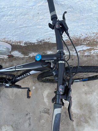 Bicicleta Giant Revel 29