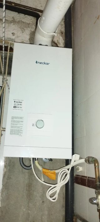 Calentador gas natural Neckar