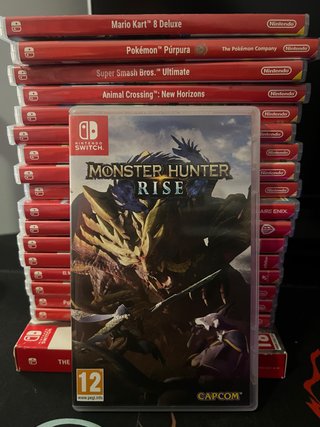 Monster Hunter Rise Nintendo Switch