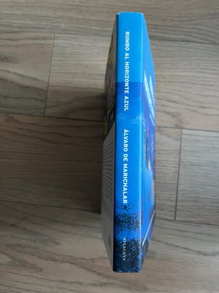 Rumbo al horizonte azul (Alvaro de Marichalar)