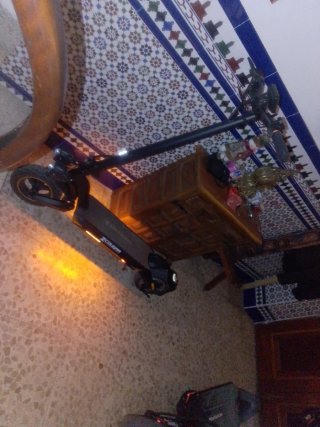 Patinete Eléctrico ZCOUGAR