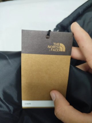 The North Face 700 Puffer Negra