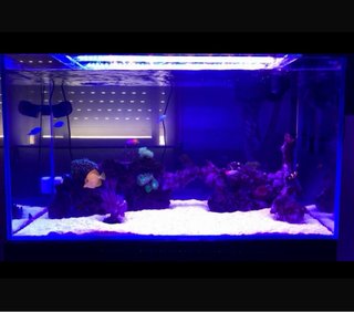 Acuario 350L con mueble