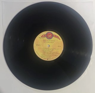 Curtis Mayfield - Back To The World LP 1973