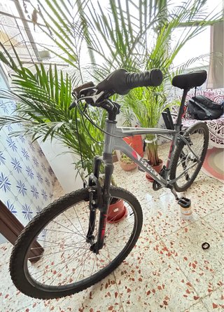 Bicicleta B-PRO MT10