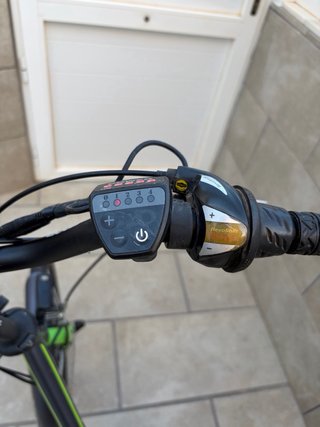 Bicicleta plegable Ecobike 20 250W