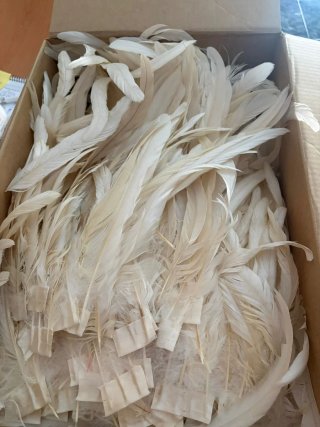 Plumas de gallo naturales color crema