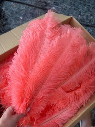 Plumas de avestruz color coral