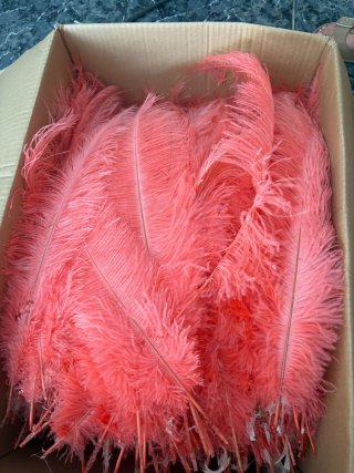 Plumas de avestruz color coral