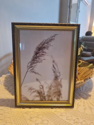 Lámina decorativa cañas en marco dorado