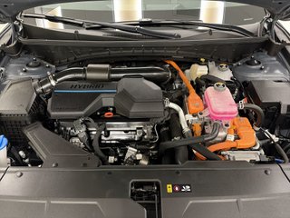 Hyundai Tucson 1.6 TGDI HEV Maxx Auto 158 kW (215 CV)