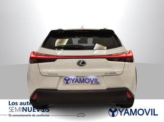 Lexus UX 250h Business 2WD 135 kW (184 CV)