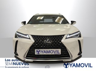 Lexus UX 250h Business 2WD 135 kW (184 CV)