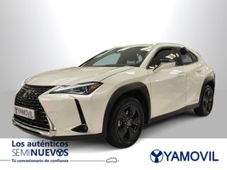 Lexus UX 250h Business 2WD 135 kW (184 CV)