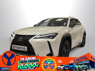 Lexus UX 250h Business 2WD 135 kW (184 CV)