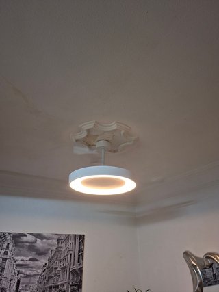 Manitas a domicilio
