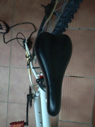 Bicicleta blanca