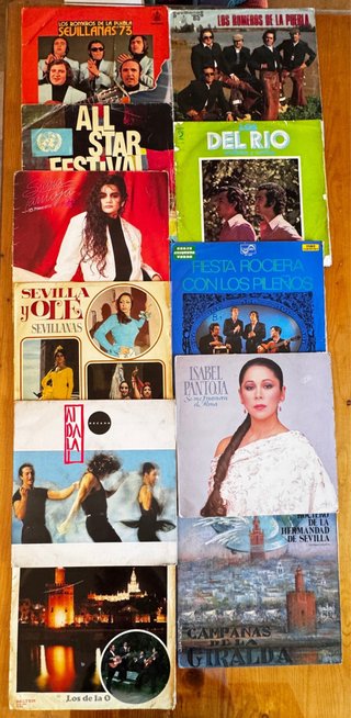 Lote 11 discos de vinilo – DEFECTUOSOS