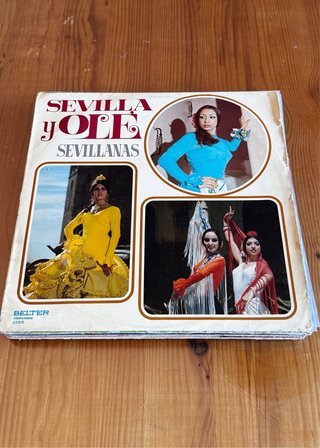 Lote 11 discos de vinilo – DEFECTUOSOS