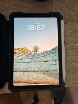 iPad mini 6.ª gen 256 GB Wi-Fi + Celular negro