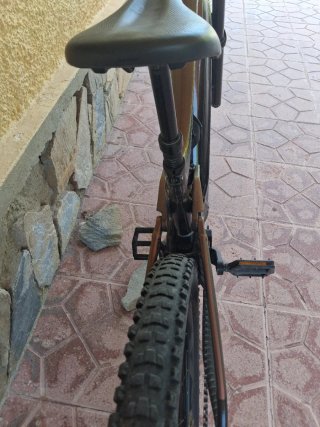 Bicicleta de Montaña Eléctrica