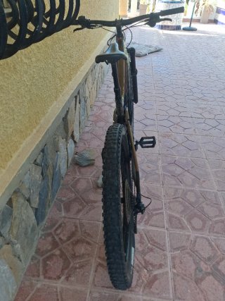 Bicicleta de Montaña Eléctrica