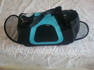 Transportín para perro o gato