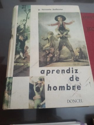Lote de libros antiguos