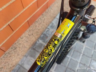 Bicicleta Niñ@ 20" Rockrider