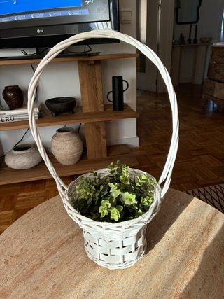 Cesta de mimbre blanca con plantas