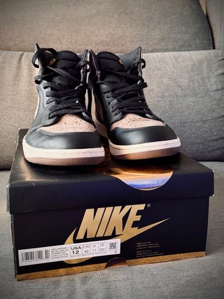 Jordan 1 Retro High Palomino