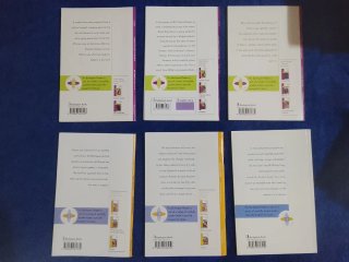 Lote cuentos en ingles juvenil - infantil