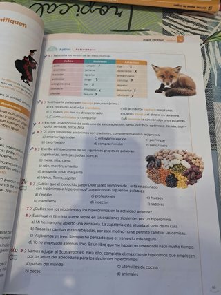 Lengua Castellana y Literatura 2º ESO